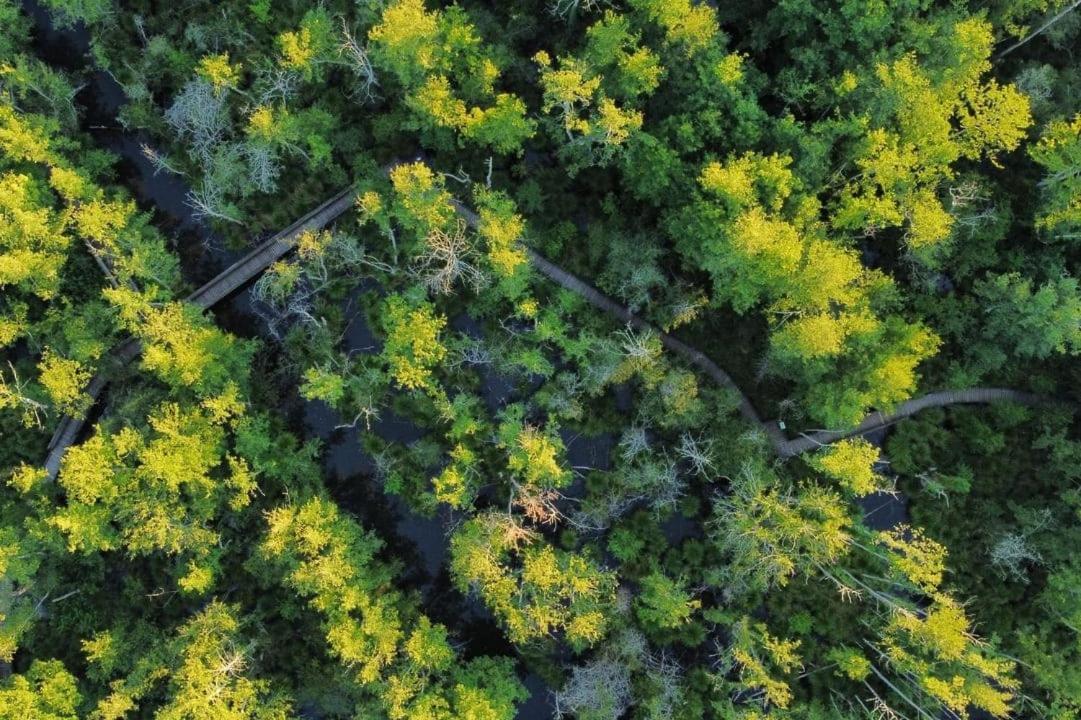Camping Du Lac De Grolejac ภายนอก รูปภาพ
